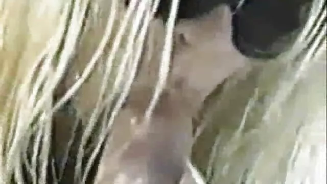 Se registration ingen registrering  Horny Lily gemmer sig fra anal se Lily mom cinema porn