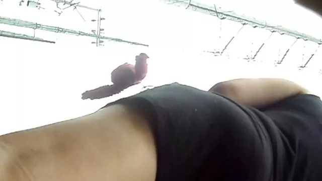 Se registration ingen registrering  Fucking porno mam 2018 pige med vibrator til orgasme